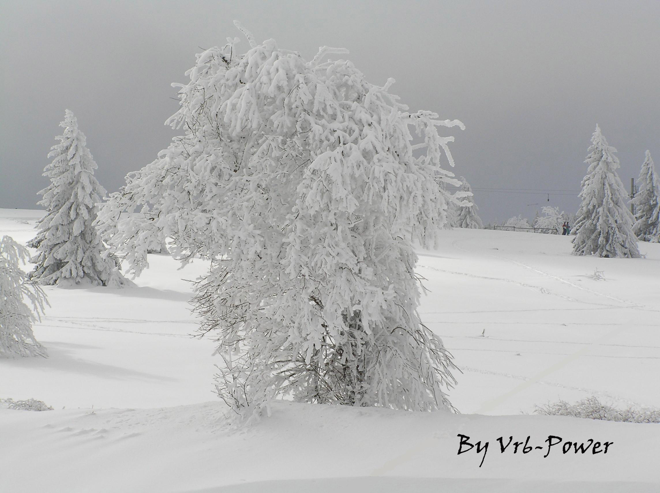 Fonds d'cran Nature Saisons - Hiver Un dcor saupoudr de neige