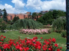 Fonds d'cran Nature Les jardins du parc