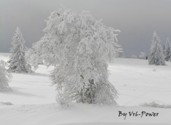 Fonds d'cran Nature Un dcor saupoudr de neige