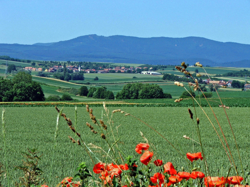 Wallpapers Trips : Europ France > Alsace Village paisible loin de la cohue...