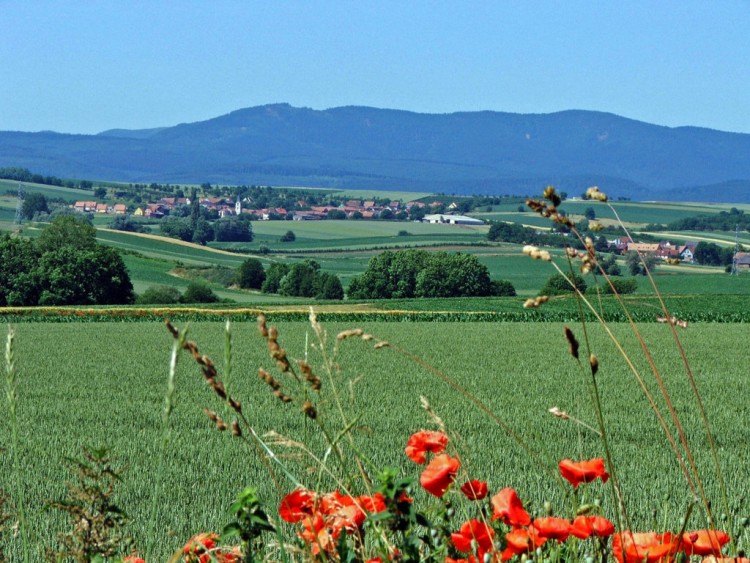 Wallpapers Trips : Europ France > Alsace Village paisible loin de la cohue...