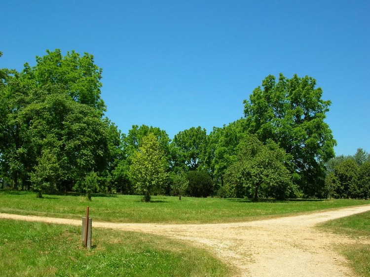 Fonds d'cran Nature Parcs - Jardins Carrefour