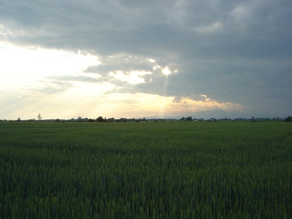 Fonds d'cran Nature Champs - Prairies SOIR D\'ORAGE