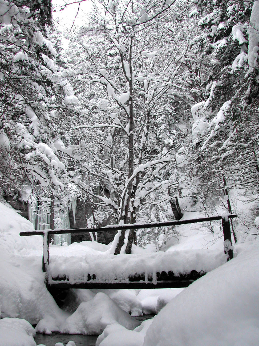 Wallpapers Nature Saisons - Winter Un petit pont de bois !