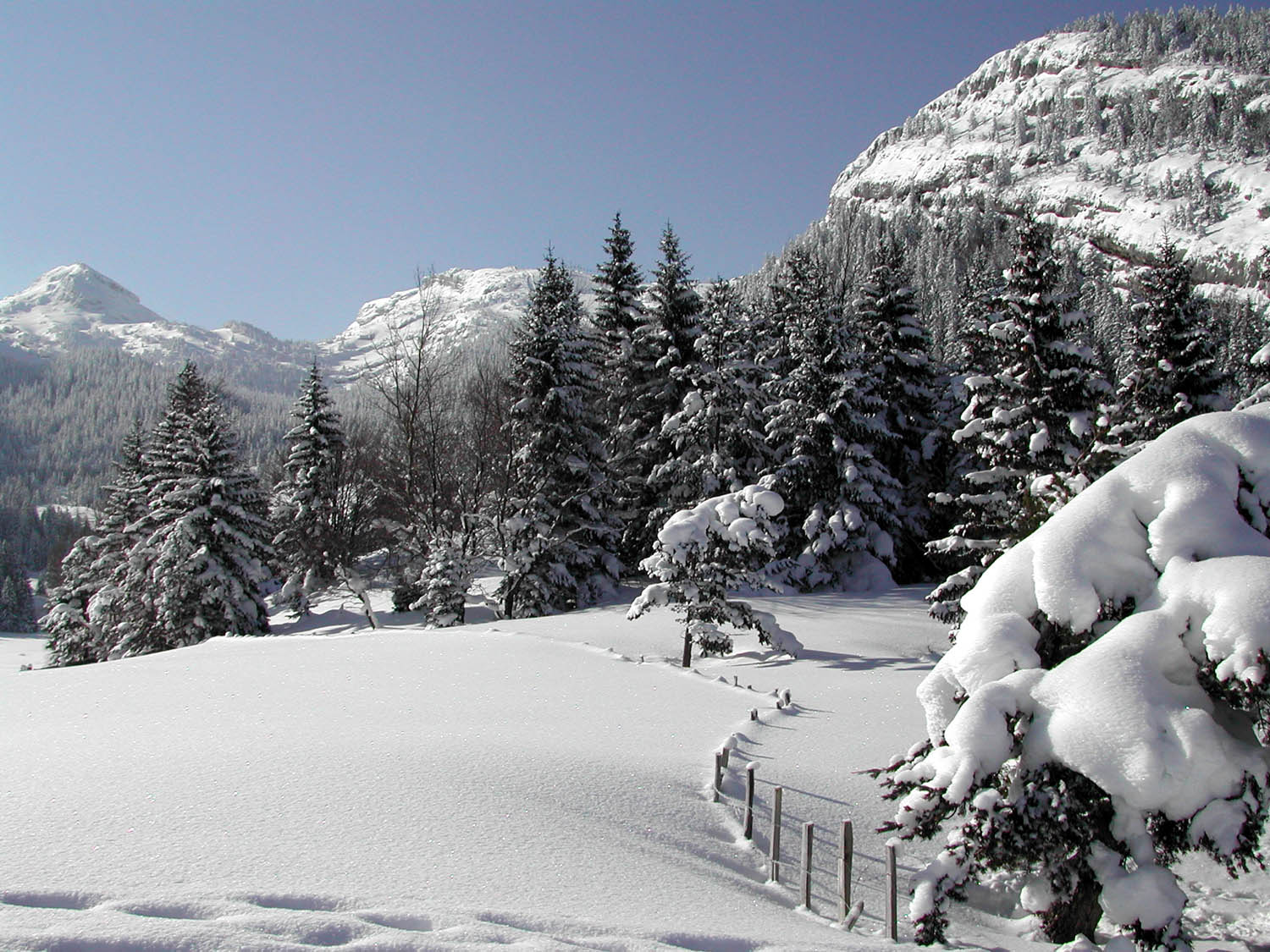 Fonds d'cran Nature Saisons - Hiver Blanc comme neige !