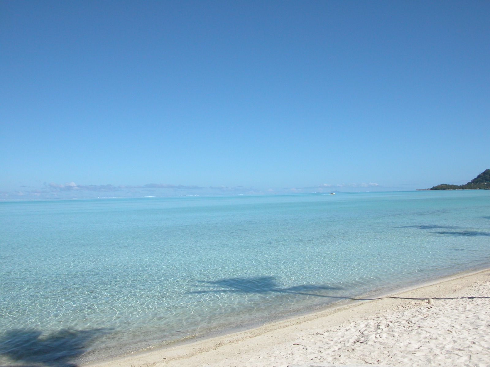 Wallpapers Nature Seas - Oceans - Beaches A tahiti