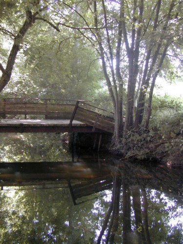 Wallpapers Nature Water - Reflection Reflets