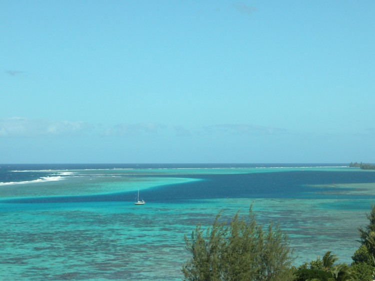 Fonds d'cran Voyages : Ocanie Tahiti Wallpaper N107964