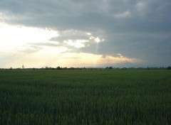 Fonds d'cran Nature SOIR D'ORAGE