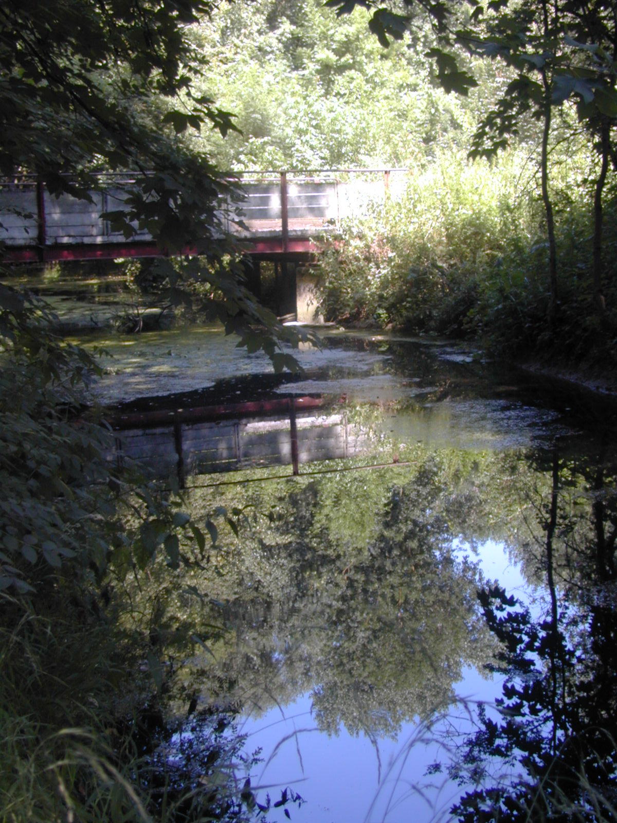 Wallpapers Nature Water - Reflection Reflets