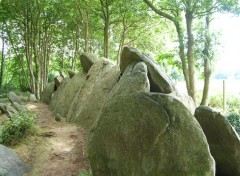 Fonds d'cran Nature Alle couverte