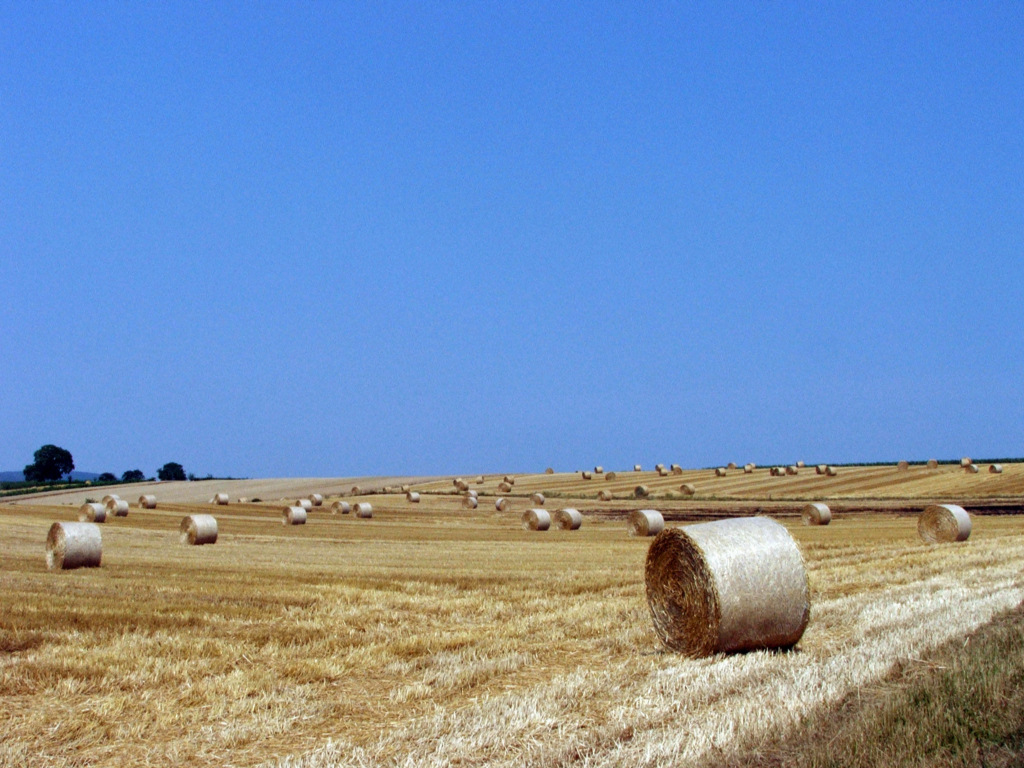 Wallpapers Trips : Europ France > Alsace Fenaison en cours...