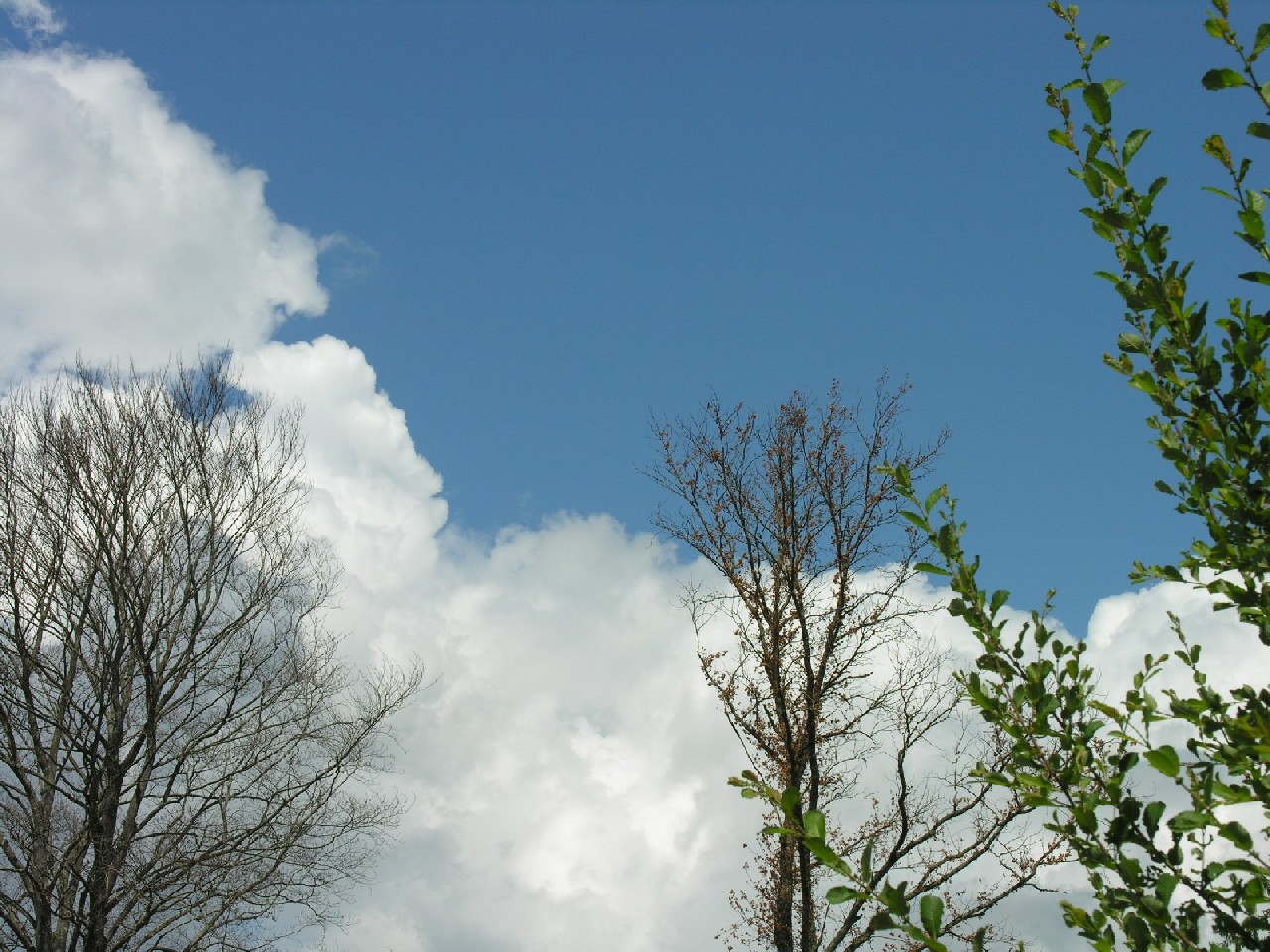 Wallpapers Nature Skies - Clouds Ciel de vacances