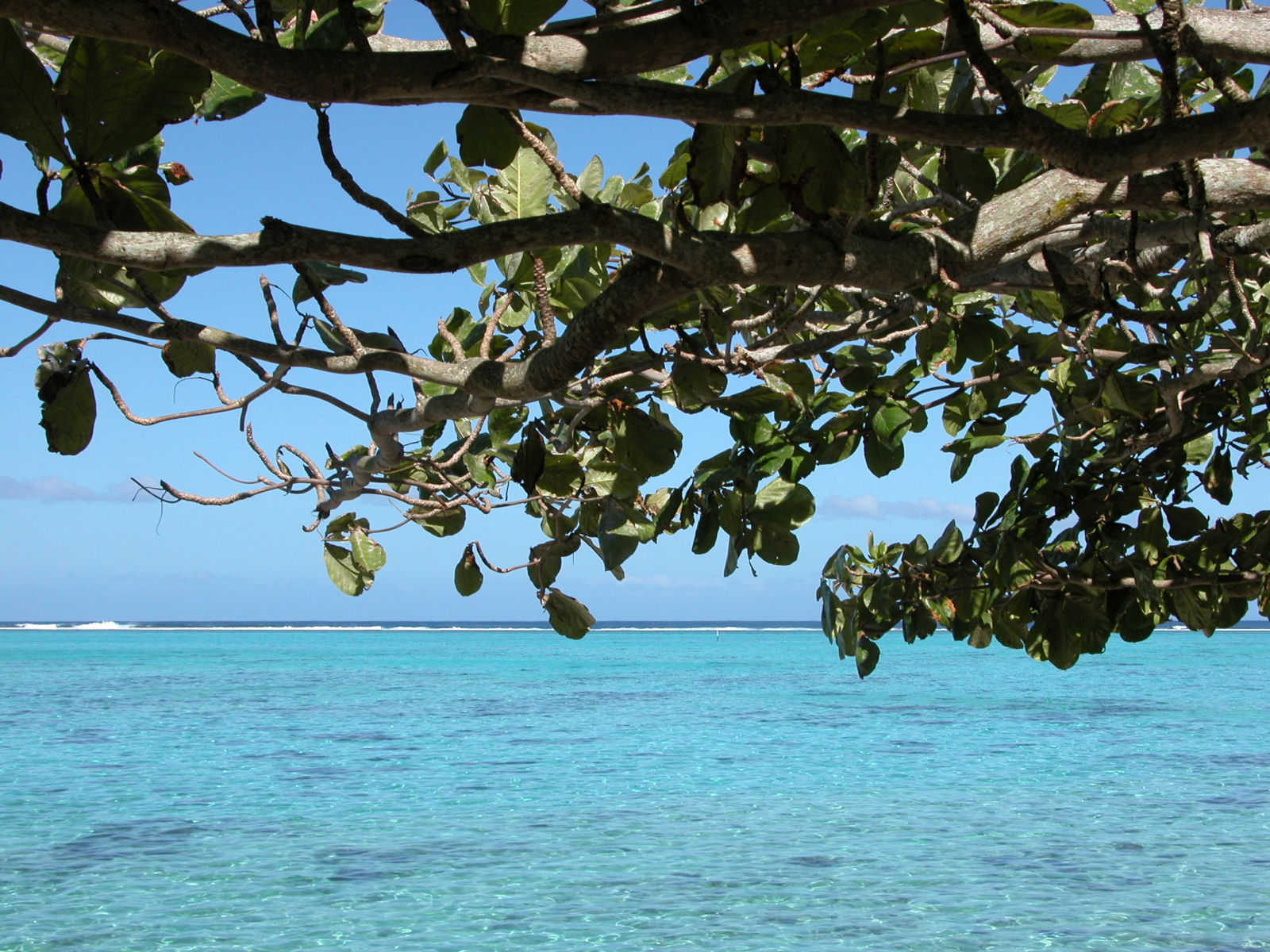 Fonds d'cran Voyages : Ocanie Tahiti 