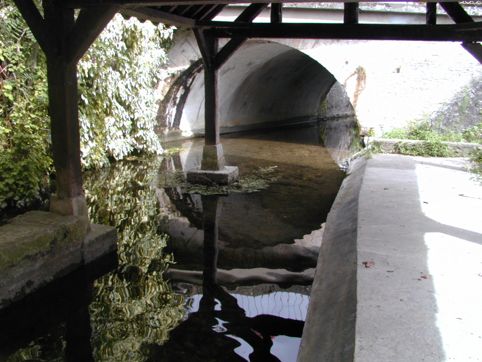 Wallpapers Nature Water - Reflection Reflets