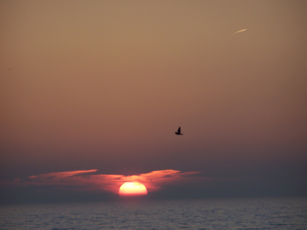 Fonds d'cran Nature Couchers et levers de Soleil Coucher de soleil