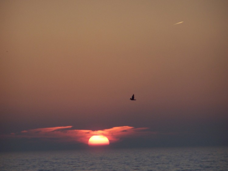 Fonds d'cran Nature Couchers et levers de Soleil Coucher de soleil