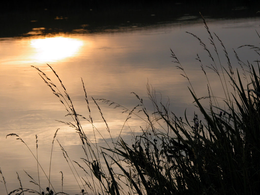 Wallpapers Nature Water - Reflection Etang