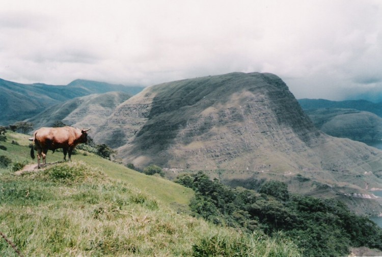 Wallpapers Trips : South America Venezuela Un regard