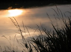 Fonds d'cran Nature Etang