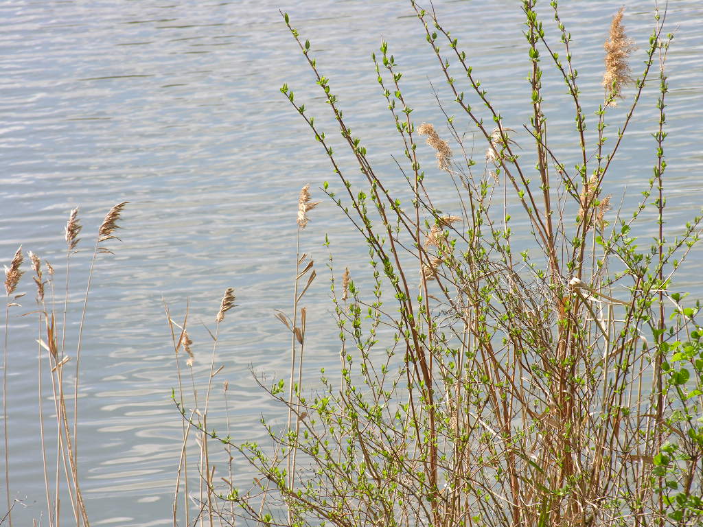 Fonds d'cran Nature Couchers et levers de Soleil 