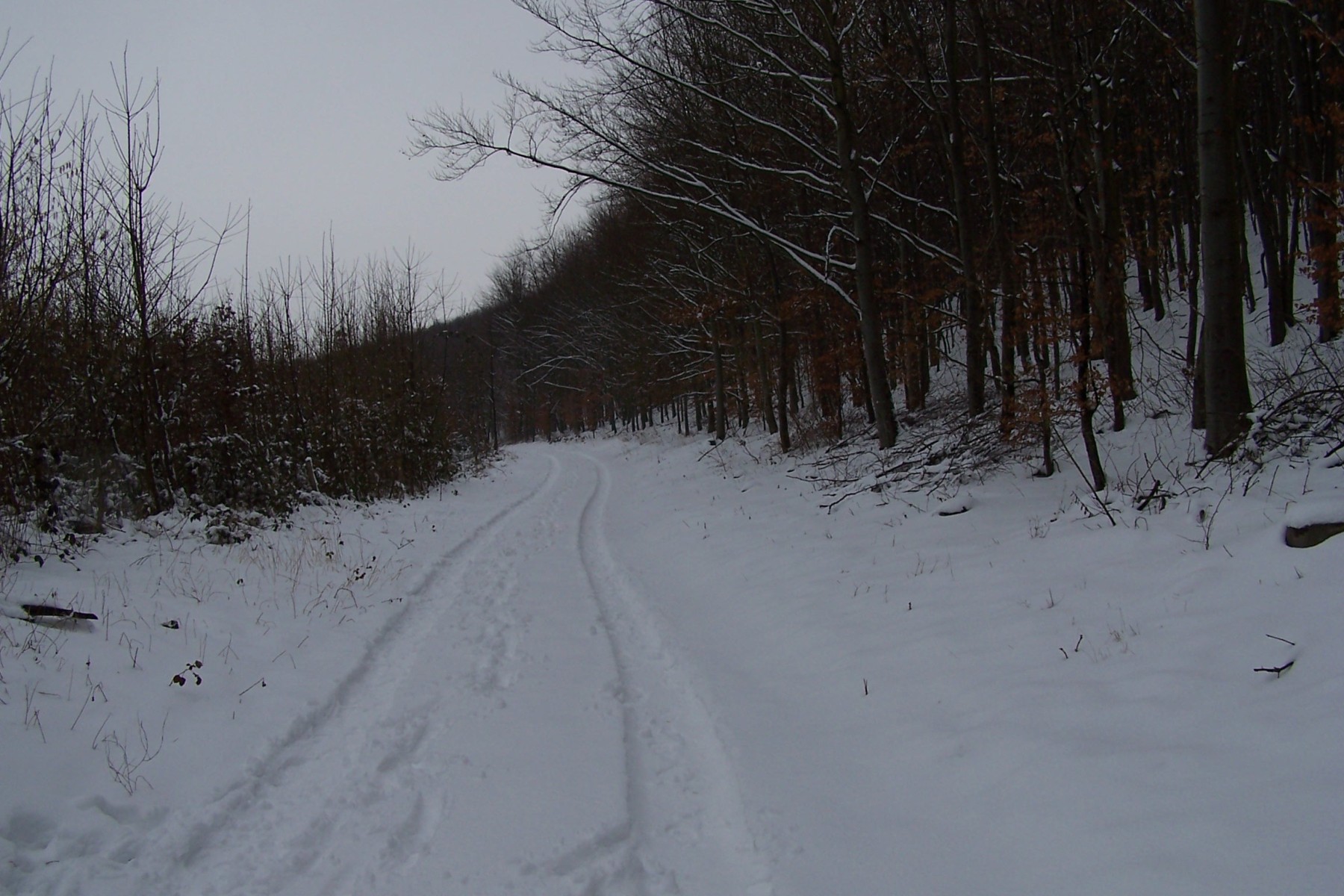 Fonds d'cran Nature Saisons - Hiver Hiver