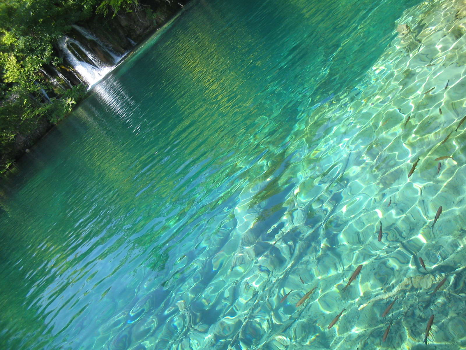 Fonds d'cran Nature Eau - Reflets Parc Naturel de Plitvice (Croatie)