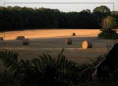 Fonds d'cran Nature Meules au soleil couchant