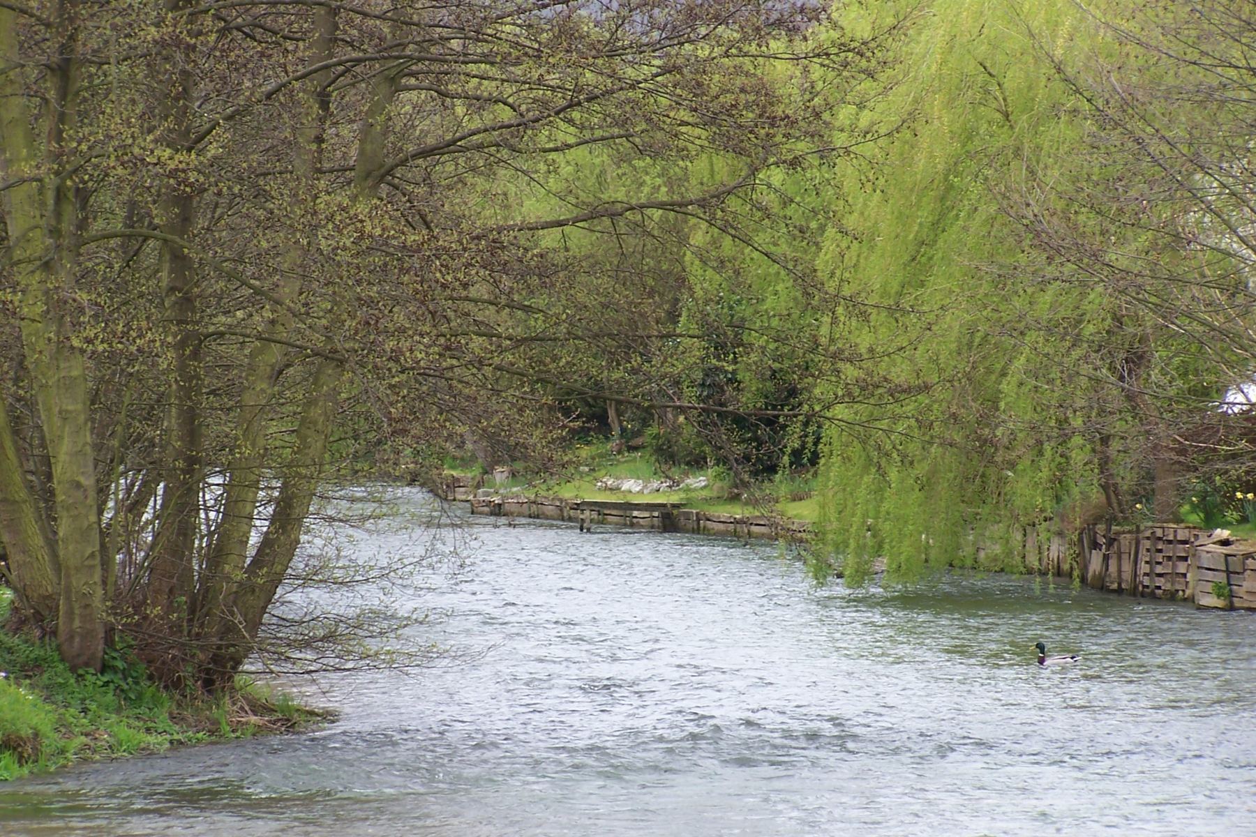 Fonds d'cran Nature Fleuves - Rivires - Torrents Rivire  Ancourt