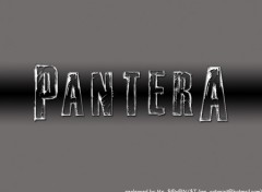 Wallpapers Music Pantera - 01