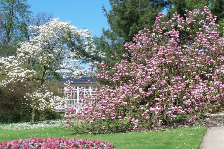 Fonds d'cran Nature Parcs - Jardins Jardin