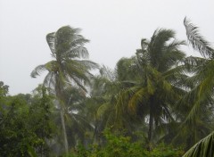 Fonds d'cran Nature tempte tropicale