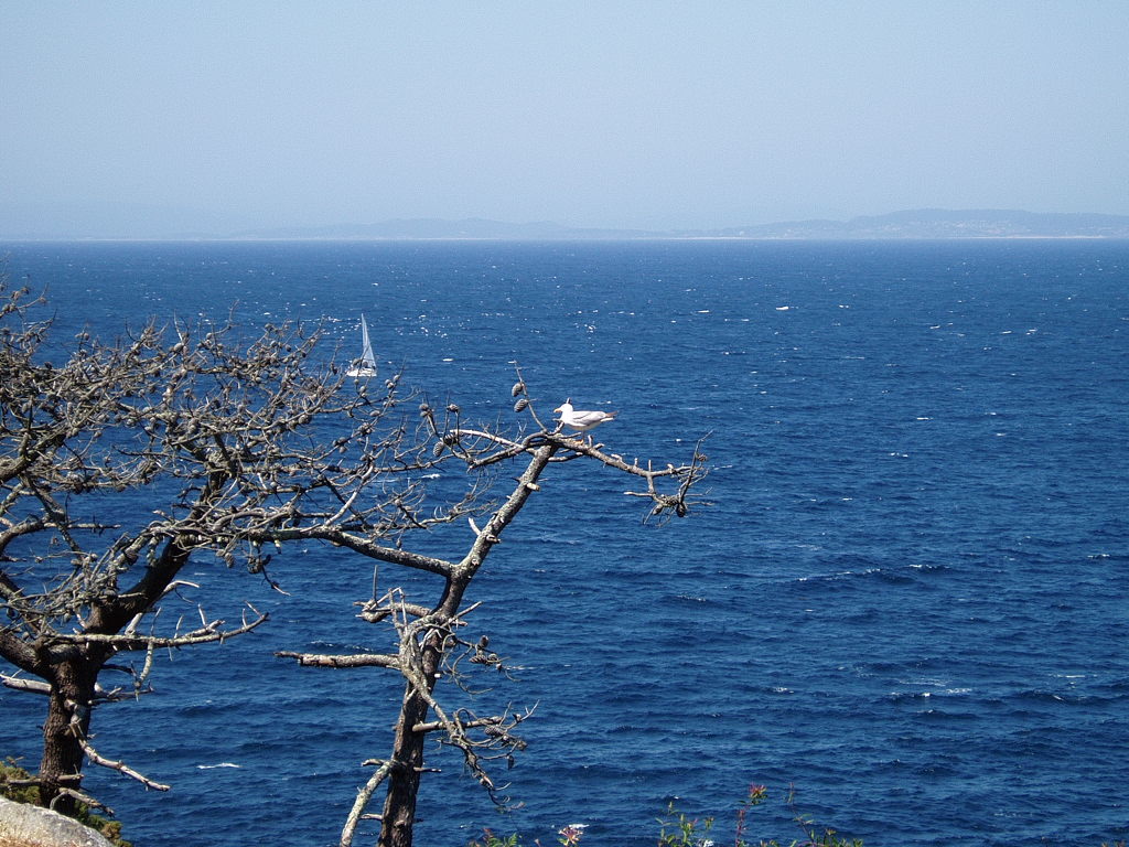 Wallpapers Nature Seas - Oceans - Beaches Cimetire de Seoane du Caurel