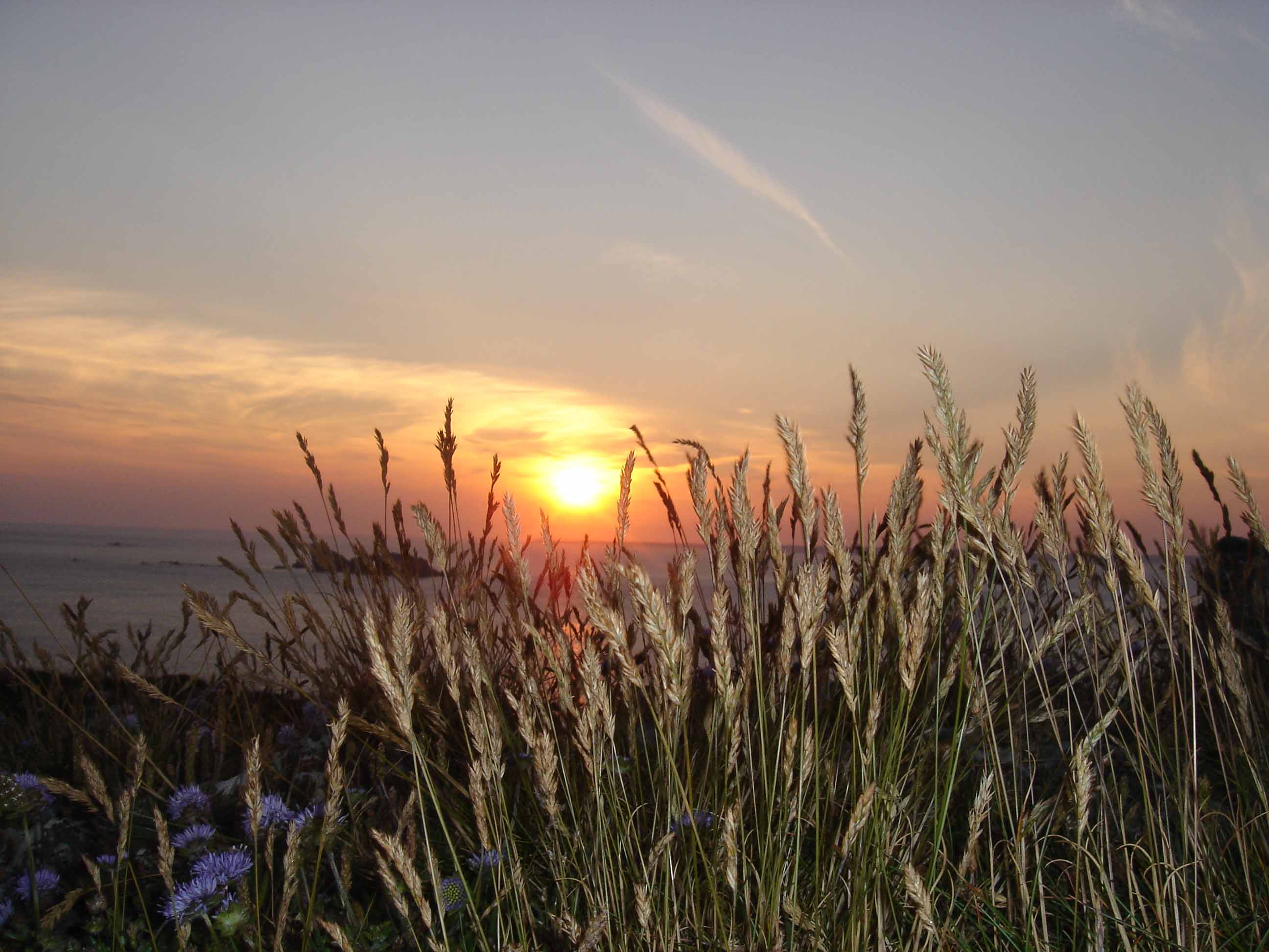 Wallpapers Nature Sunsets and sunrises Couch de soleil  Camaret