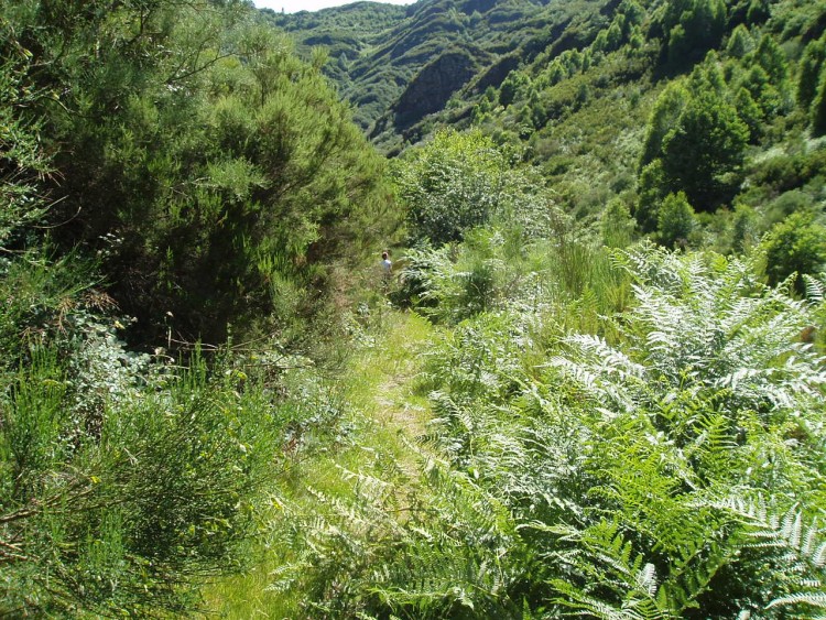 Fonds d'cran Nature Paysages O Courel