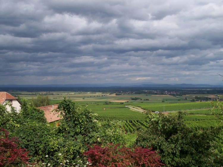 Wallpapers Trips : Europ France > Alsace vue de la colline de Zellenberg