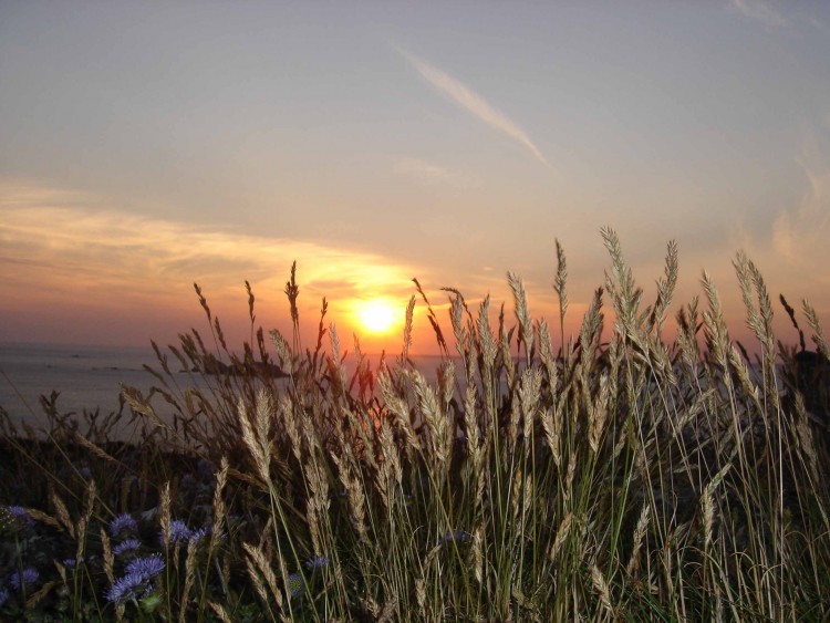 Wallpapers Nature Sunsets and sunrises Couch de soleil  Camaret