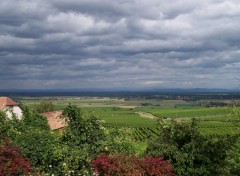 Wallpapers Trips : Europ vue de la colline de Zellenberg