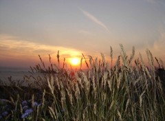 Wallpapers Nature Couch de soleil  Camaret