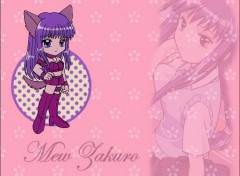 Fonds d'cran Manga Mew Zakuro