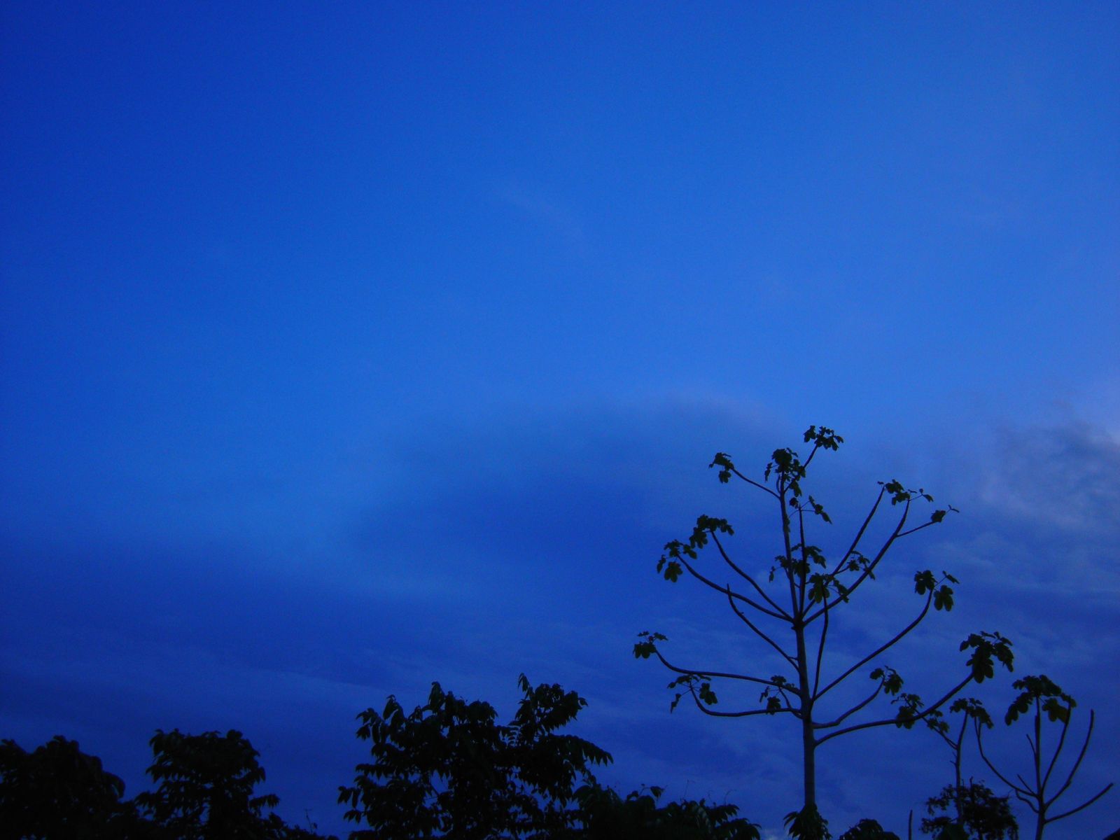 Fonds d'cran Nature Ciel - Nuages nuit bleue