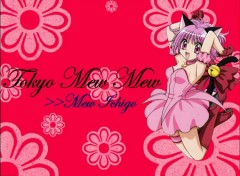 Fonds d'cran Manga Mew Ichigo