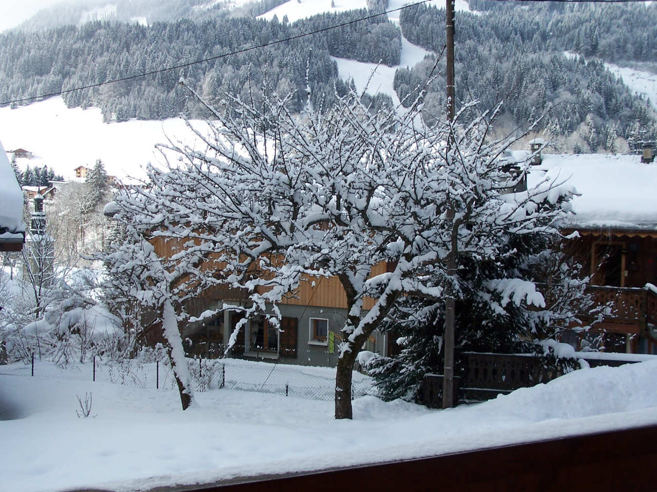 Fonds d'cran Nature Arbres - Forts Arbre sous la neige