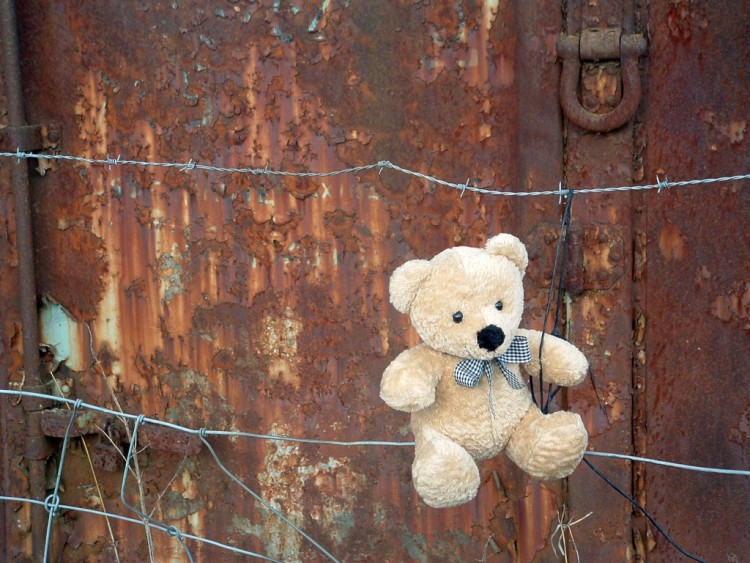 Fonds d'cran Objets Peluches Petit Ours a du mal  ouvrir la porte !