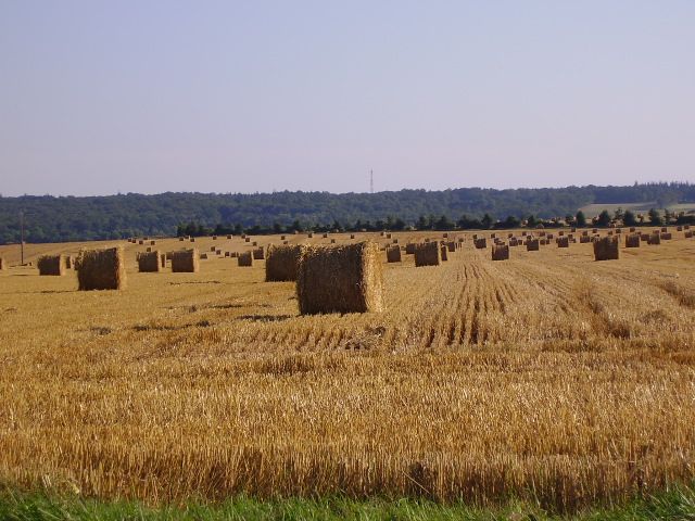 Wallpapers Trips : Europ France > Normandie Aprs la moisson