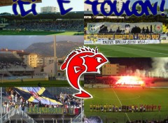 Wallpapers Sports - Leisures bon rencontre toulon