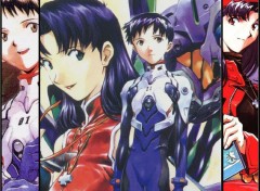 Wallpapers Cartoons shinji misato