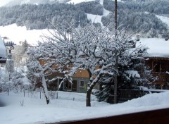 Fonds d'cran Nature Arbre sous la neige