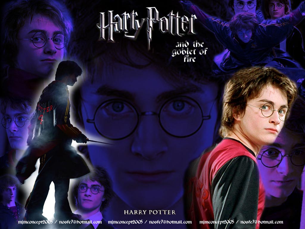 Fonds d'cran Cinma Harry Potter et la Coupe de Feu (IV) Votre Champoin!