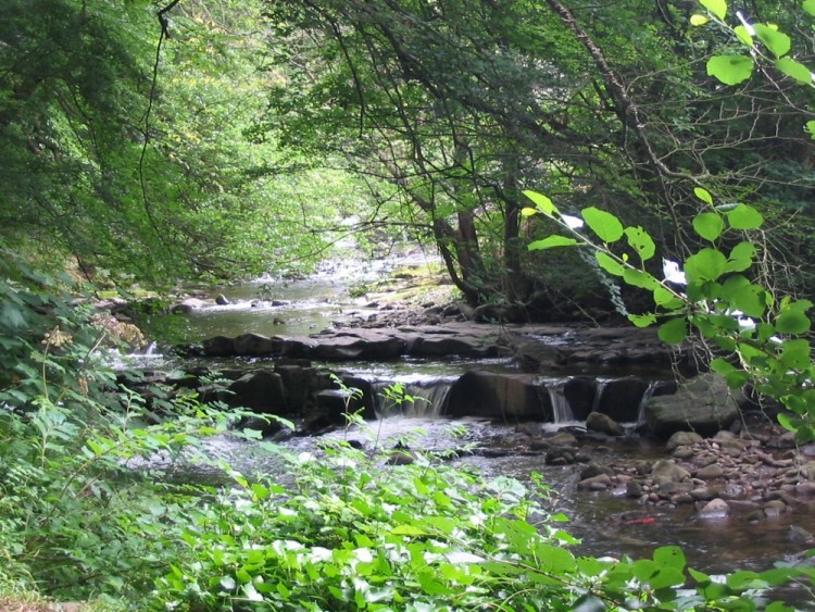 Fonds d'cran Nature Cascades - Chutes rivire galloise